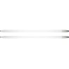 Nordic Backcountry Skis Rossignol BC 65 Positrack New